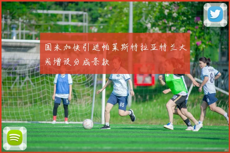 国米加快引进帕莱斯特拉亚特兰大或增设分成条款